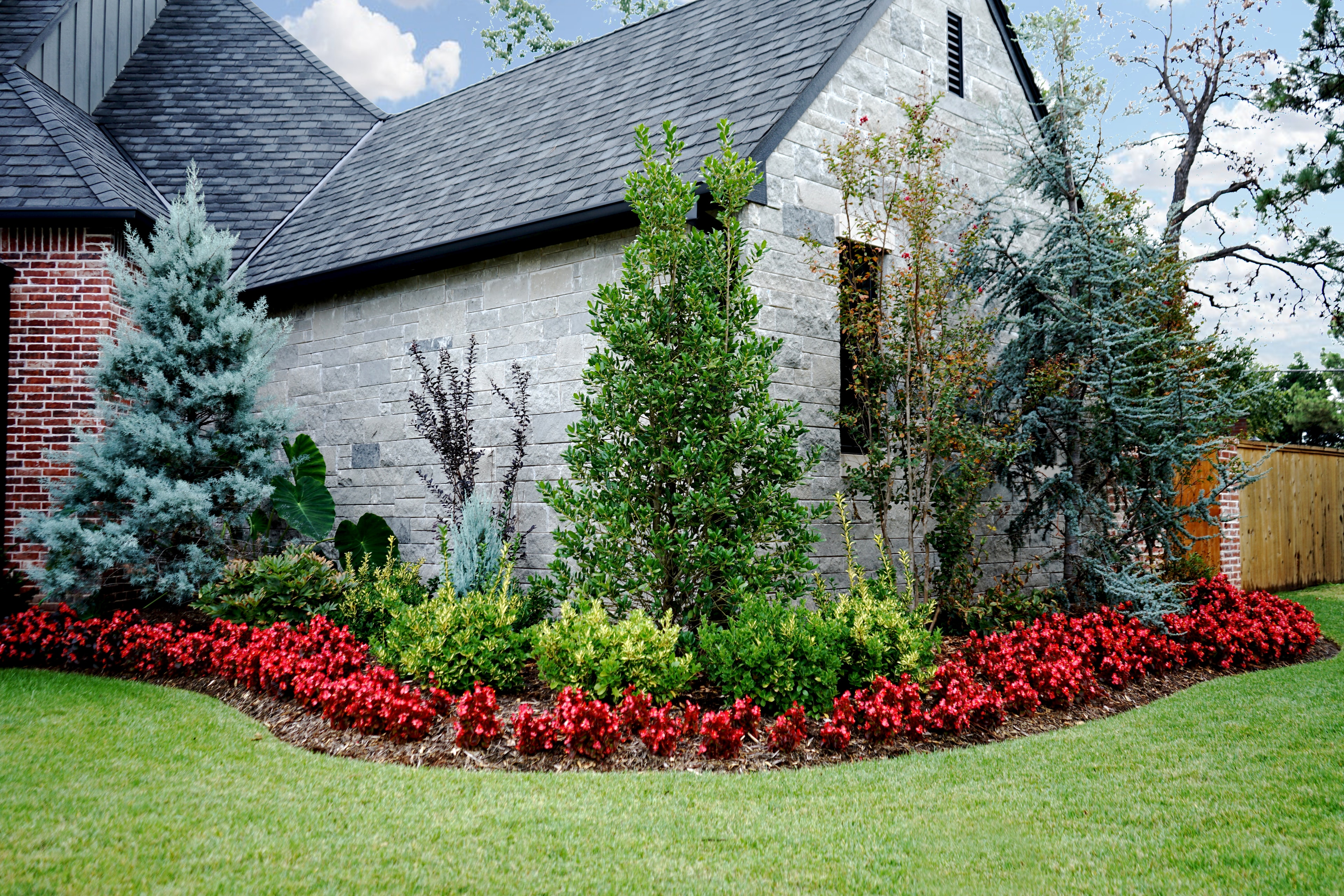 Stone home corner with layered planting bed of blue spruce, magnolia, and red begonias