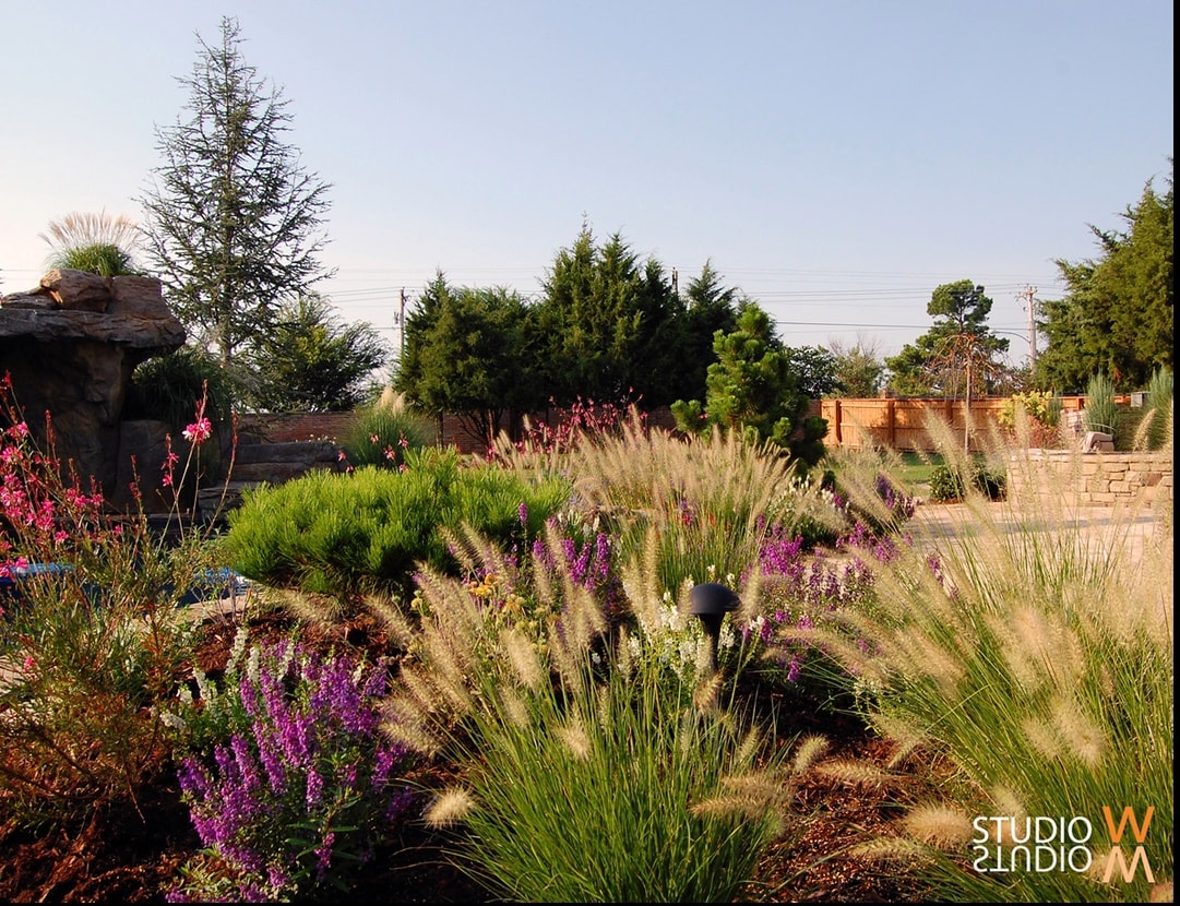 Lush landscape design with ornamental grasses, purple salvia, and evergreen trees