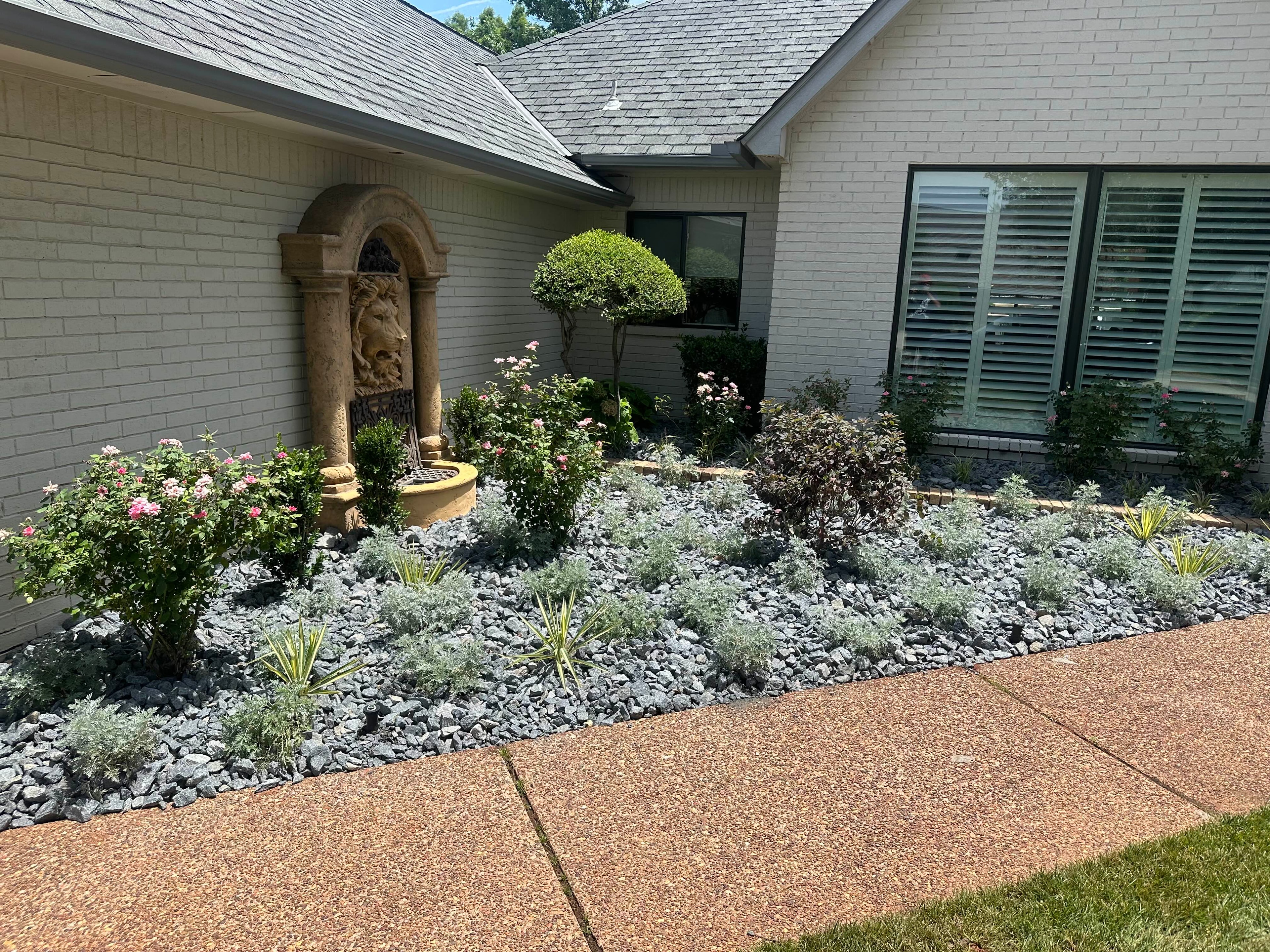 Courtyard planting bed with ornate stone fountain, roses, and silver-foliage ground cover